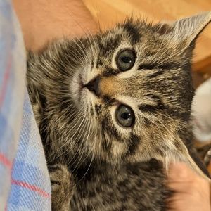 Meet your Posher, Brian